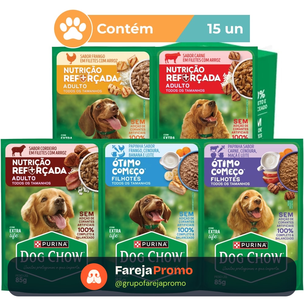 Ração úmida Dog Chow Sabores Variados para Cães 15x100 g