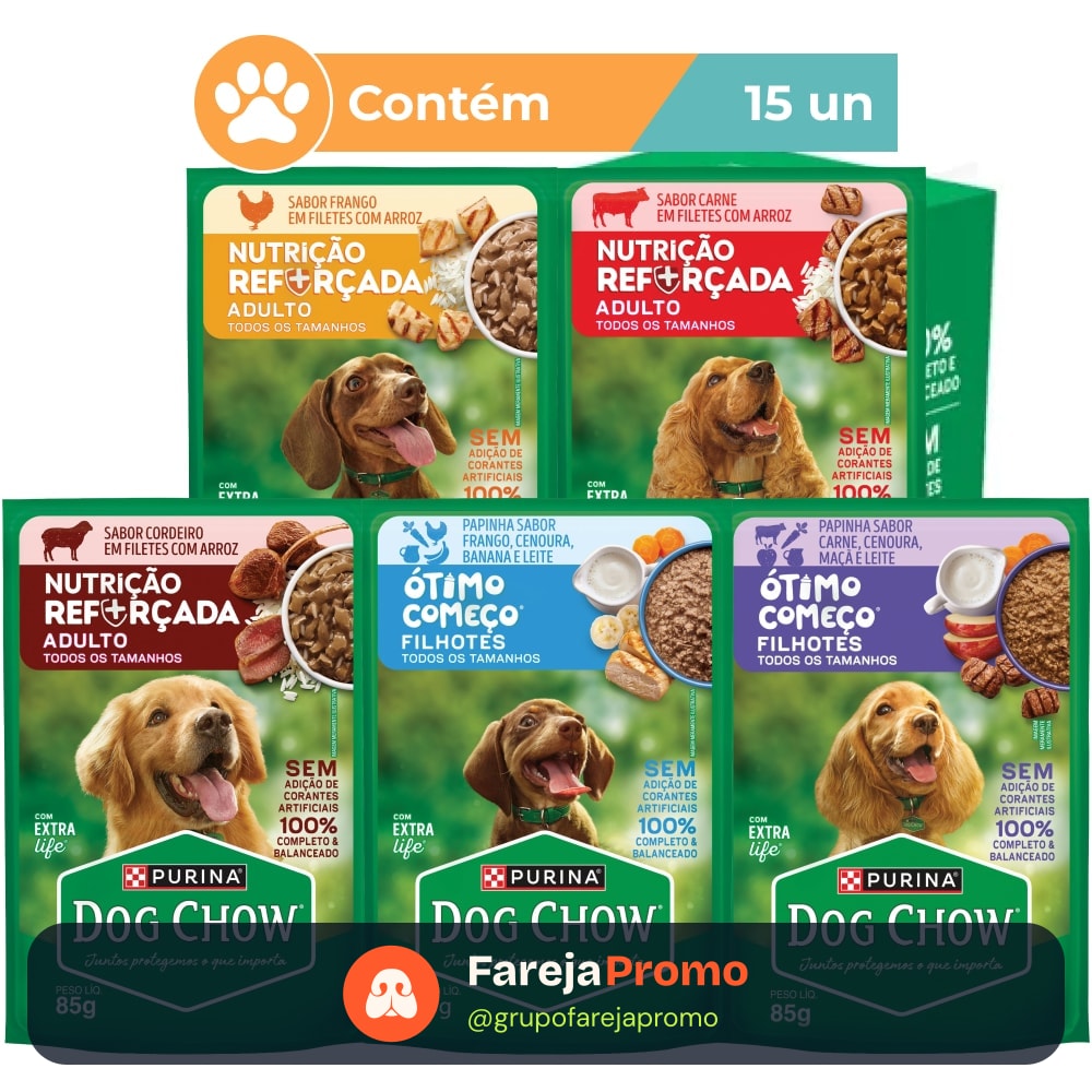 Ração úmida Dog Chow Sabores Variados para Cães 15x100 g