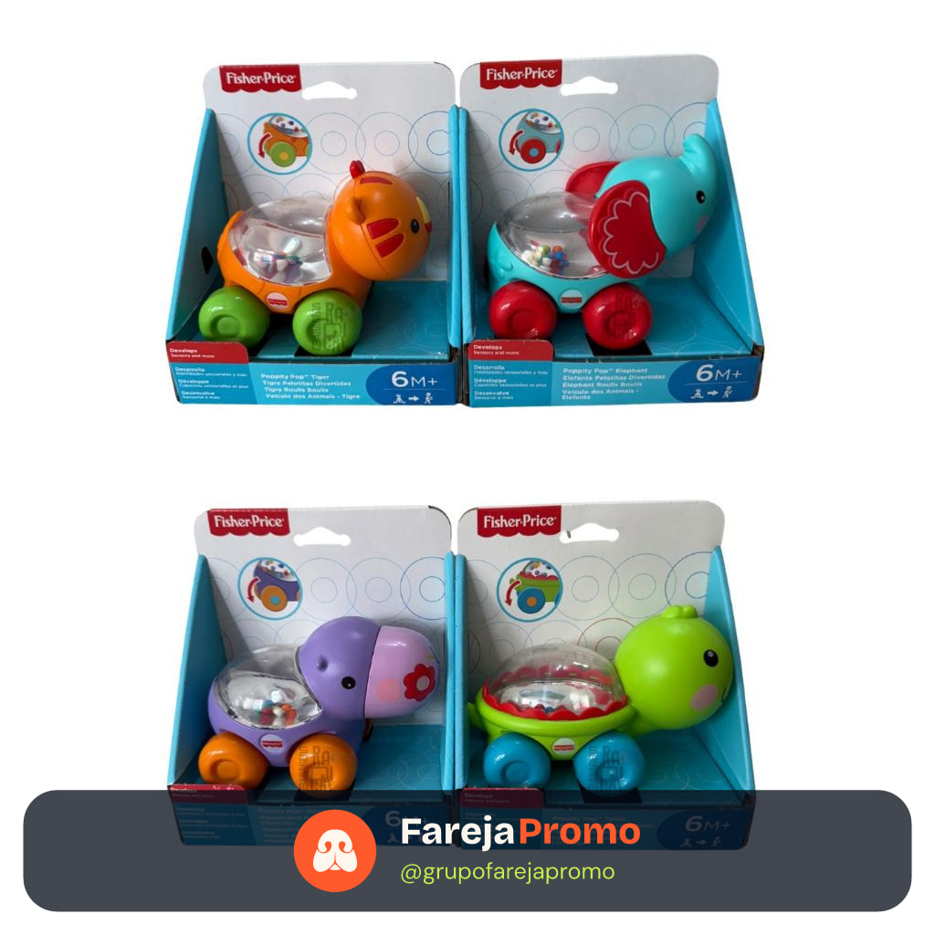 Veículos de Animais BGX29 - Fisher Price Mattel | Brinquedo Educativo Infantil Original